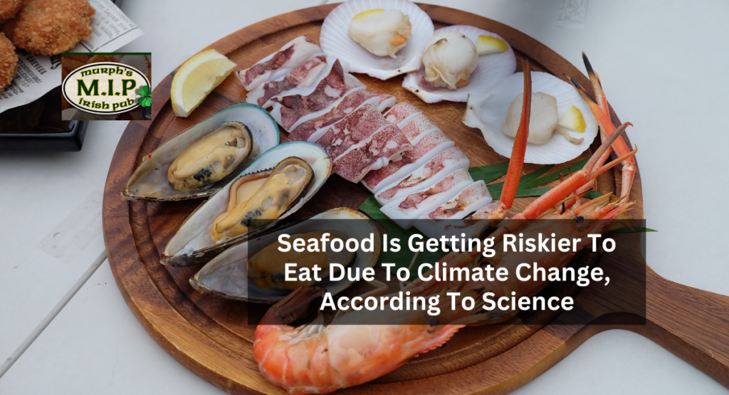 Seafood Is Getting Riskier To Eat Due To Climate Change, According To Science