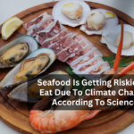 Seafood Is Getting Riskier To Eat Due To Climate Change, According To Science